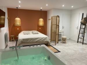 Appartements Studio cosy avec balneotherapie : photos des chambres