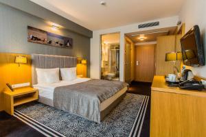 Deluxe Double Room room in Hotel & Medi-Spa Biały Kamień