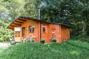 Tranquil Cabin Retreat in Carluke - Newmains