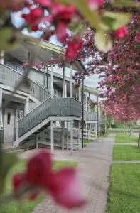 Hamar Vandrerhjem - Bjørnstad Hamar Vandrerhjem - Bjørnstad