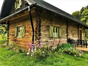 Domki z bali Ciche Marzenie - Postołów