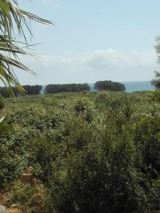 Appartements Les jardins de la mer marine de bravone - pour 4 pax plus 2 enfants piscine cote mer : photos des chambres