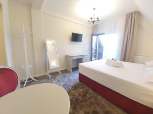 Mountain View Ceahlau