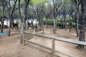 Club Hotel Marina Seada Beach img21