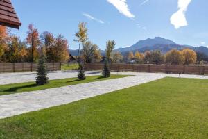 Mountain View Ceahlau