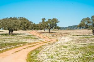 Agro-Turismo Herdade do Carneiro