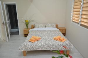 Guest House Konak Iris