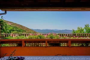 L'Oasi del Cervo img9