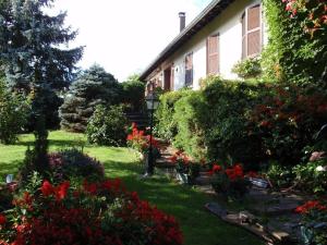 Appartements Apartment Route du Vin Centre Alsace : photos des chambres