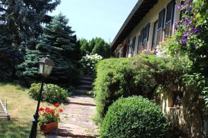 Appartements Apartment Route du Vin Centre Alsace : photos des chambres