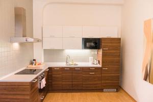 Lion Apartments in historical center, Bratislava Old Town