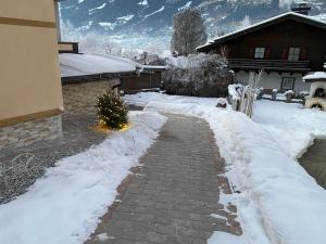 Ferienwohnung Wildkogelblick