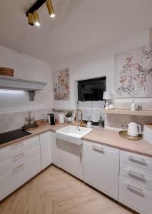 Koniakowo - dom Fino