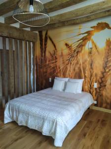 B&B / Chambres d'hotes LE BAS CHITRAY : photos des chambres