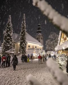 Hotel Pino Alpino 