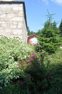 Hotels Domaine du Lac Ferrand : photos des chambres