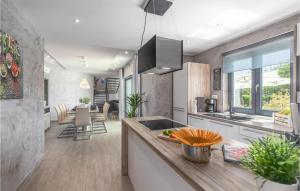 Pet Friendly Home In Barban With Kitchen 