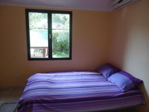 Apartments and Bungalows Mimoza Baošići