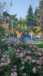 Słoneczne mieszkanie w centrum i z widokiem na park parking