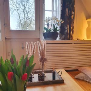 Bed & Bike De Rijp