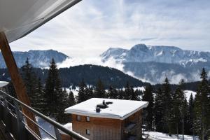 Complexes hoteliers Residences Les Villages du Bachat (by Popinns) : Appartement - Vue sur Montagne (4 Personnes)