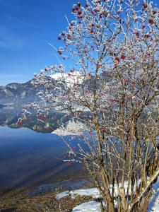 Apartementhaus Schöndorfer