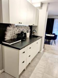 Apartament Chopina III