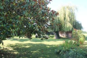 Maisons de vacances Beautiful 4-Bed country cottage with pool : photos des chambres