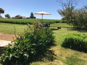 Maisons de vacances Beautiful 4-Bed country cottage with pool : photos des chambres