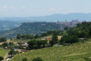 Località Rocca Ripesena, 62, 05010 Terni TR, Italy.