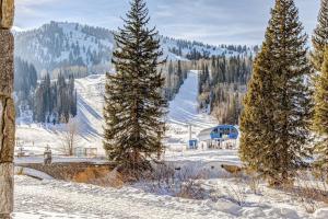 Stay in Solitude - Creekside 102