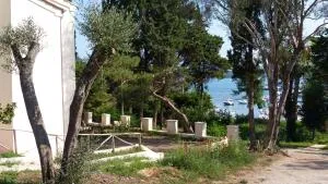 I Pesci nel golfo di Baratti - Baratti