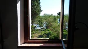 I Pesci nel golfo di Baratti