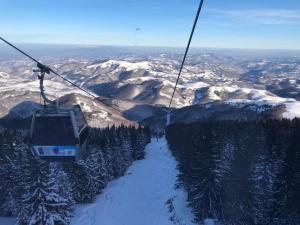 Studio-Apartman Dream018