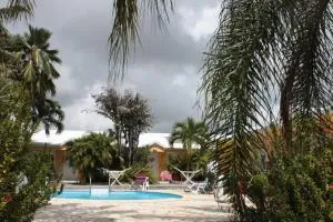 BALAGA aichi - Boivin