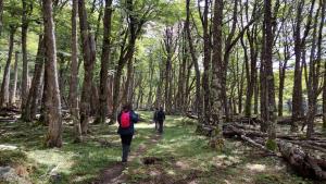 Refugio de Glaciares