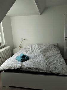 Nabo til domkirken