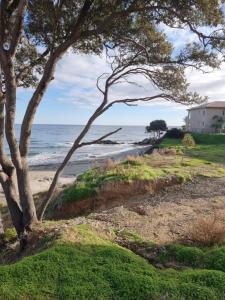 Appartements BRAVONE 61- T2- Pieds dans l'eau-Piscine chauffee dans residence- clim : photos des chambres