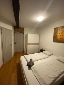 Rooms and apartments Nokturno
