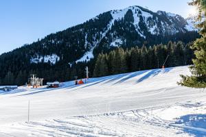 Complexes hoteliers FranceComfort - AlpResort Portes du Soleil : photos des chambres