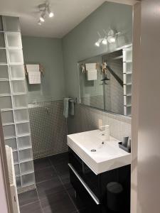 Duplex appartement Dujardin