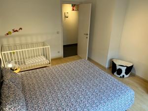 Duplex appartement Dujardin