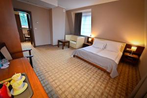 Deluxe Double Room room in Hotel Rudnik