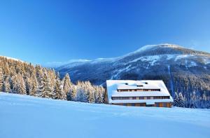 Apartments Residence Jeleni boudy