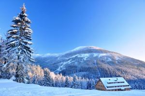 Apartments Residence Jeleni boudy