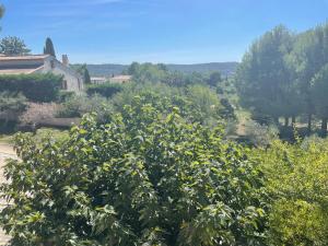 Villas Les Herbes Folles : photos des chambres