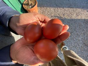 Maisons d'hotes La Bastide du Castellet : photos des chambres