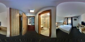 Single Room room in Penzion Vodnik