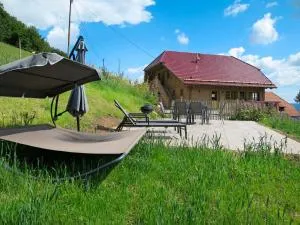 Apartment Schmalzenhof by Interhome - Schuttertal