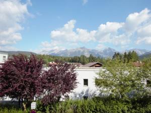 Apartment Alpenland-22 by Interhome